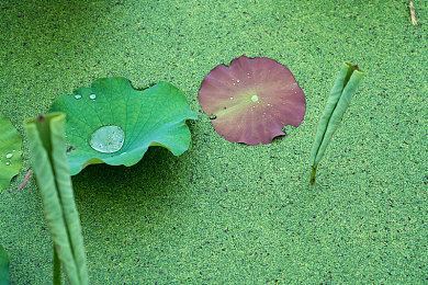 金主爸爸强扭 开发者透露《50美分：血洗沙地》内幕